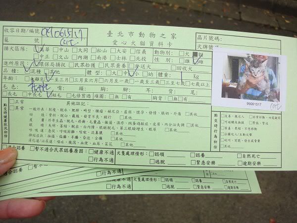 圖檔