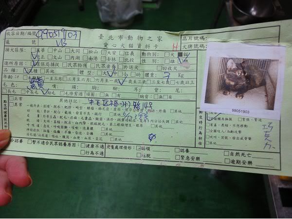 圖檔