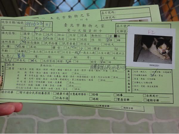 圖檔