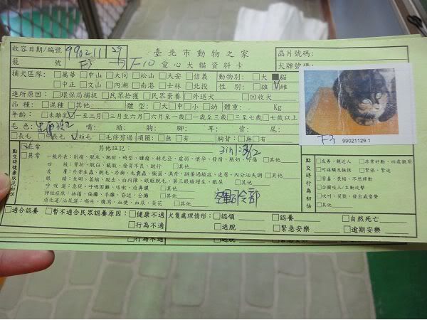 圖檔