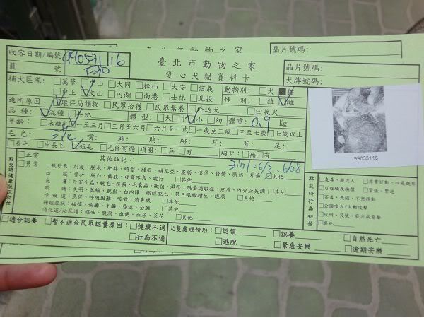 圖檔