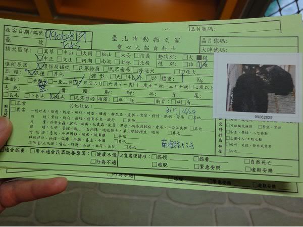 圖檔