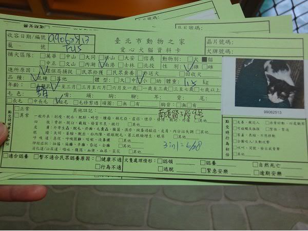 圖檔