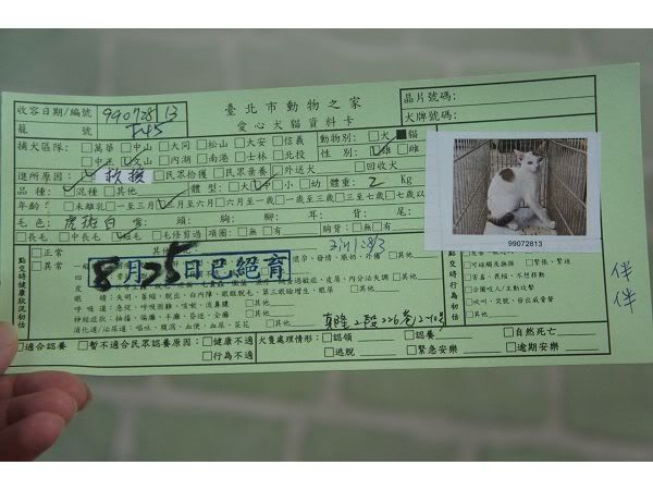 圖檔