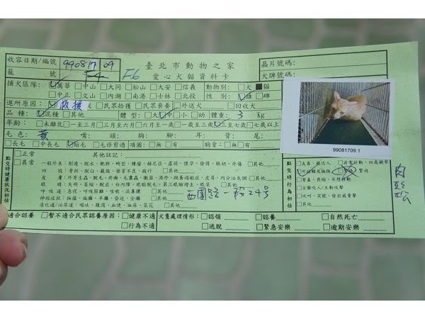 圖檔