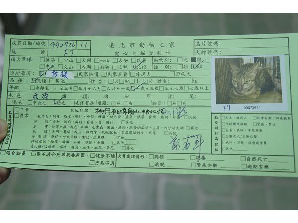 圖檔