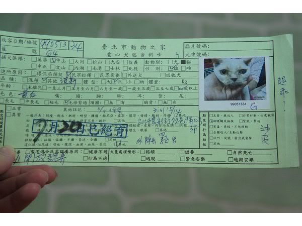 圖檔
