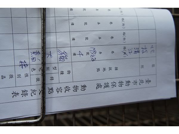 圖檔