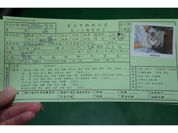 圖檔