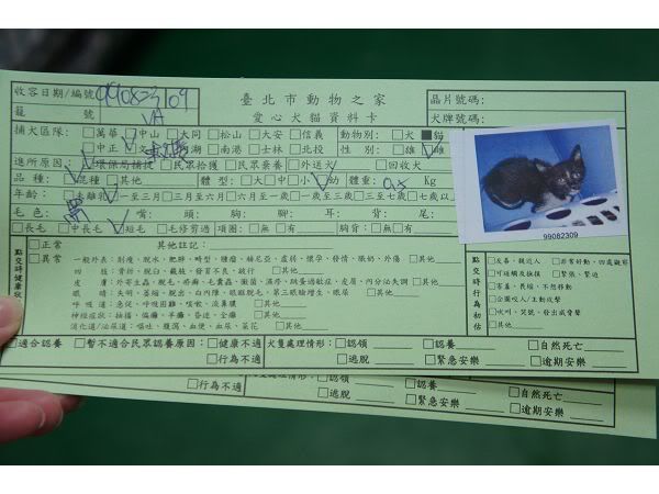 圖檔