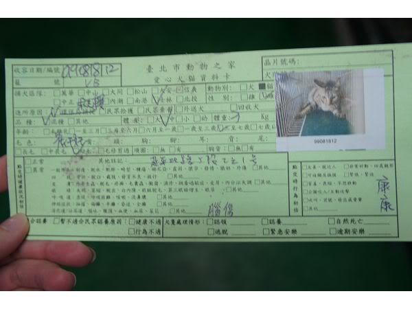 圖檔