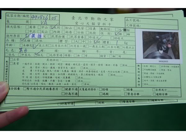 圖檔