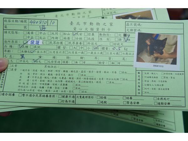 圖檔