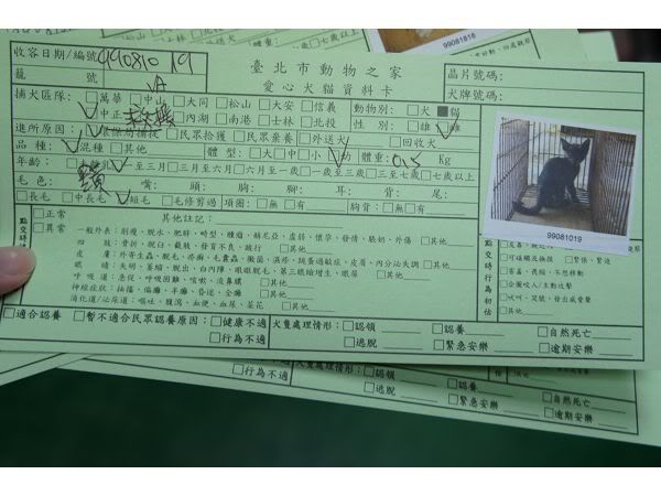 圖檔