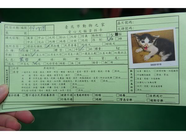圖檔