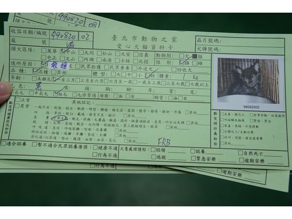 圖檔
