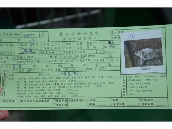 圖檔