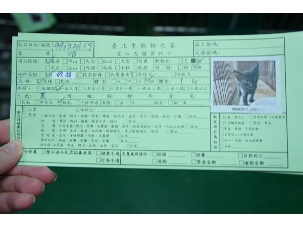 圖檔