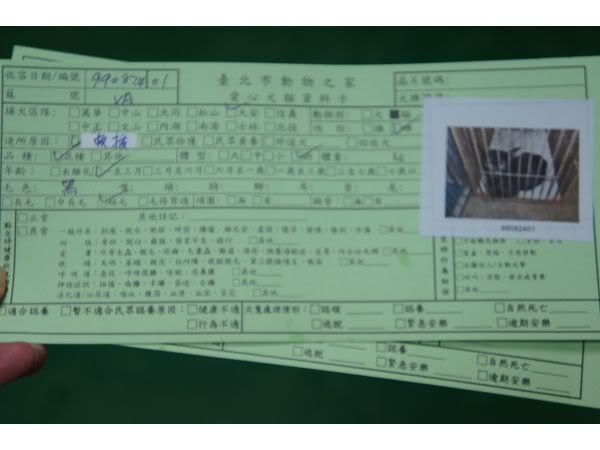圖檔