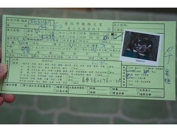 圖檔