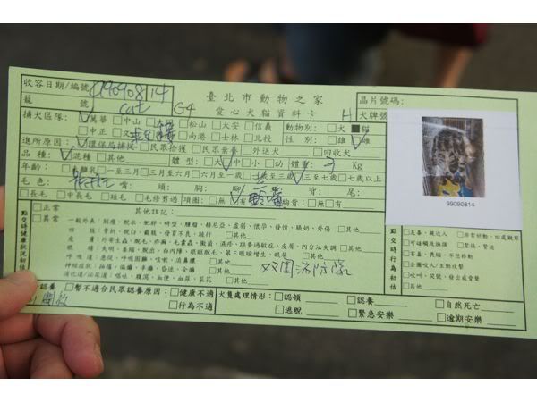 圖檔