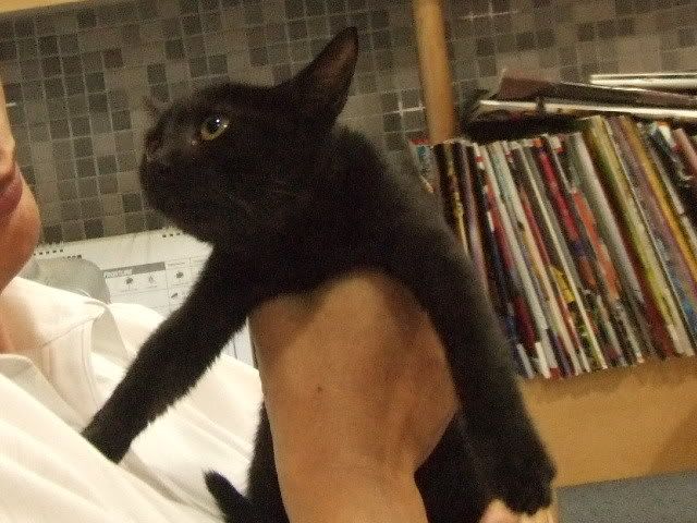 圖檔