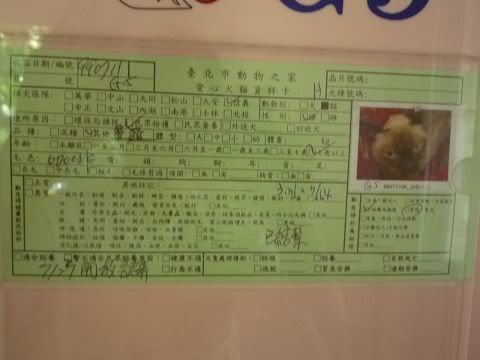 圖檔