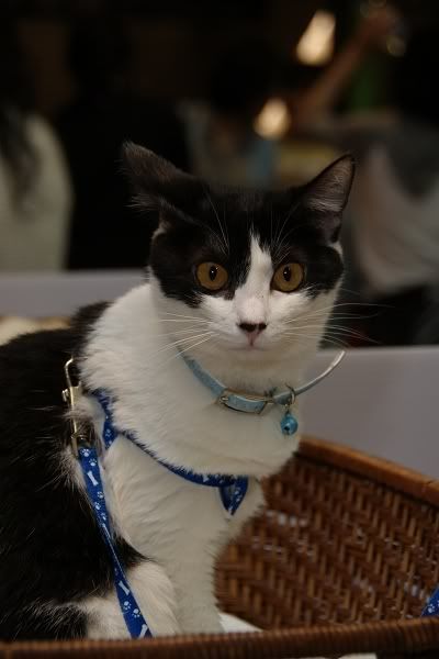 圖檔