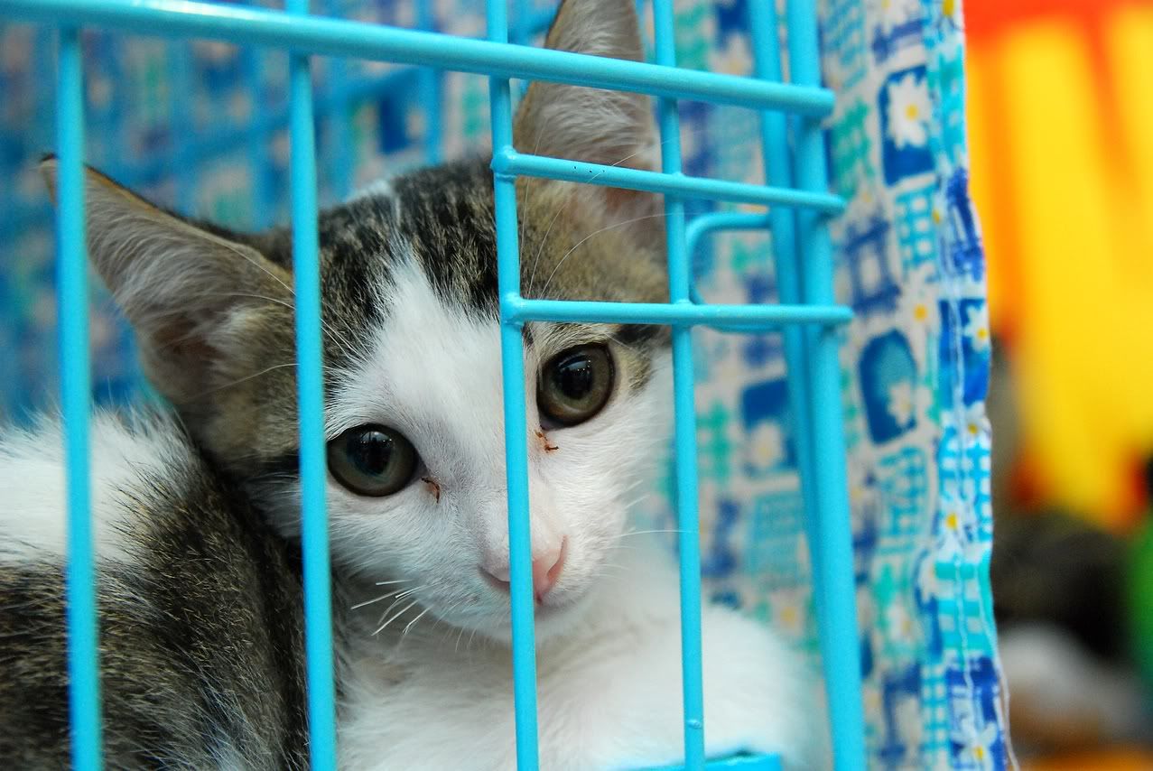 圖檔