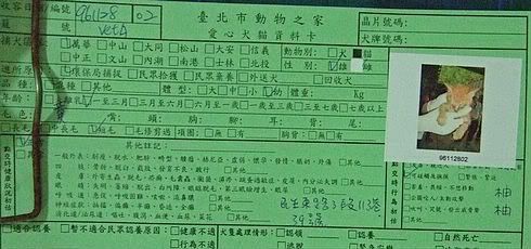 圖檔