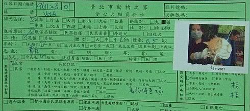圖檔