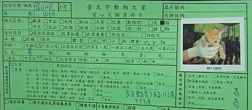 圖檔