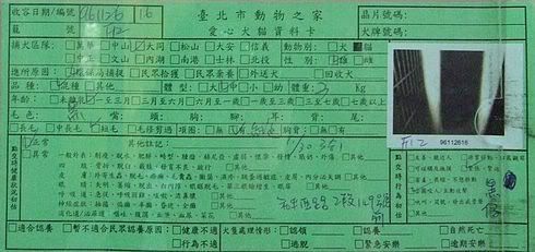 圖檔