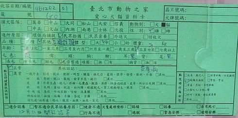 圖檔