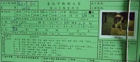 圖檔
