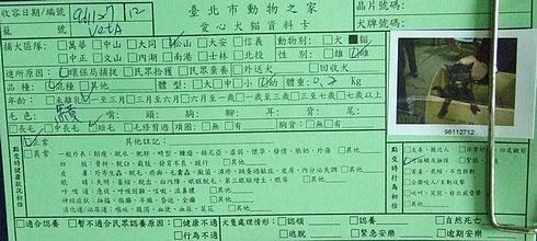 圖檔