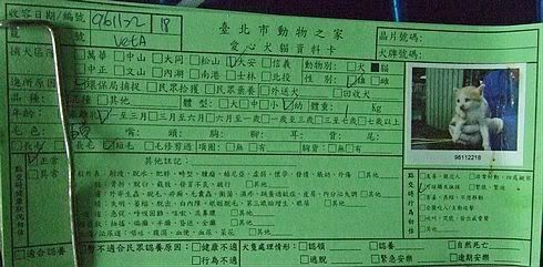 圖檔