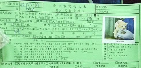 圖檔