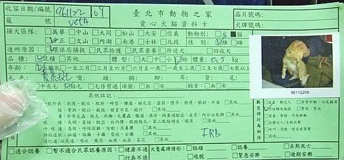 圖檔
