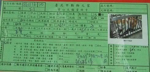 圖檔