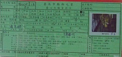 圖檔