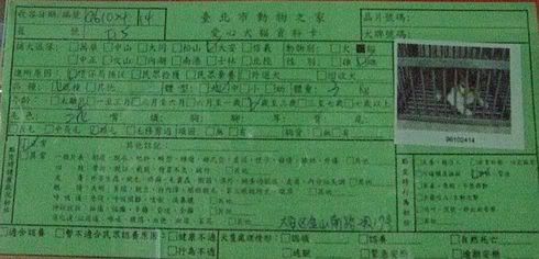 圖檔