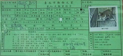 圖檔