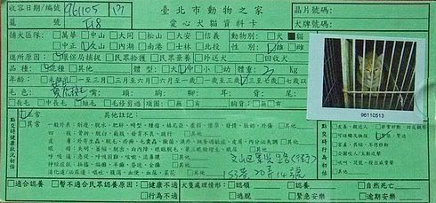 圖檔