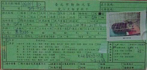 圖檔