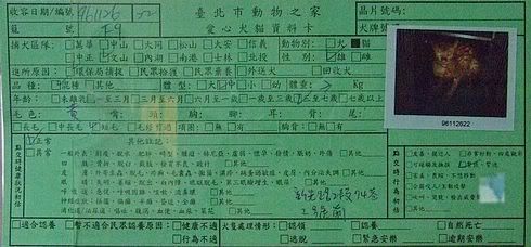 圖檔