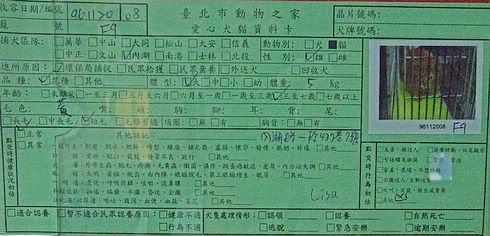 圖檔