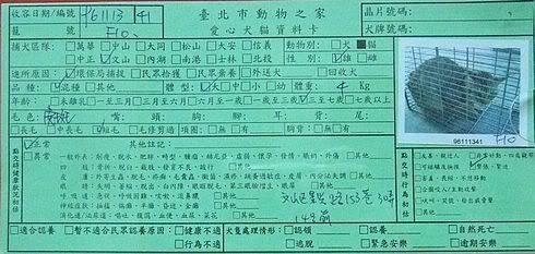 圖檔