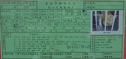 圖檔