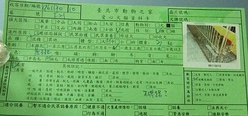 圖檔